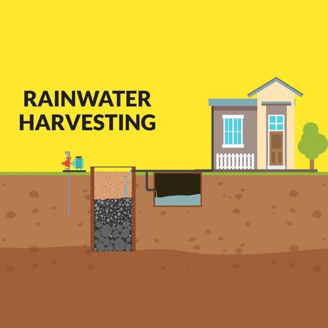 Rain Water Harvesting