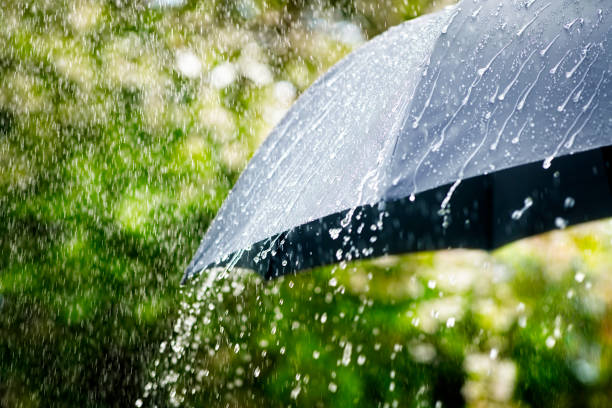 Rain Water Harvesting Systems